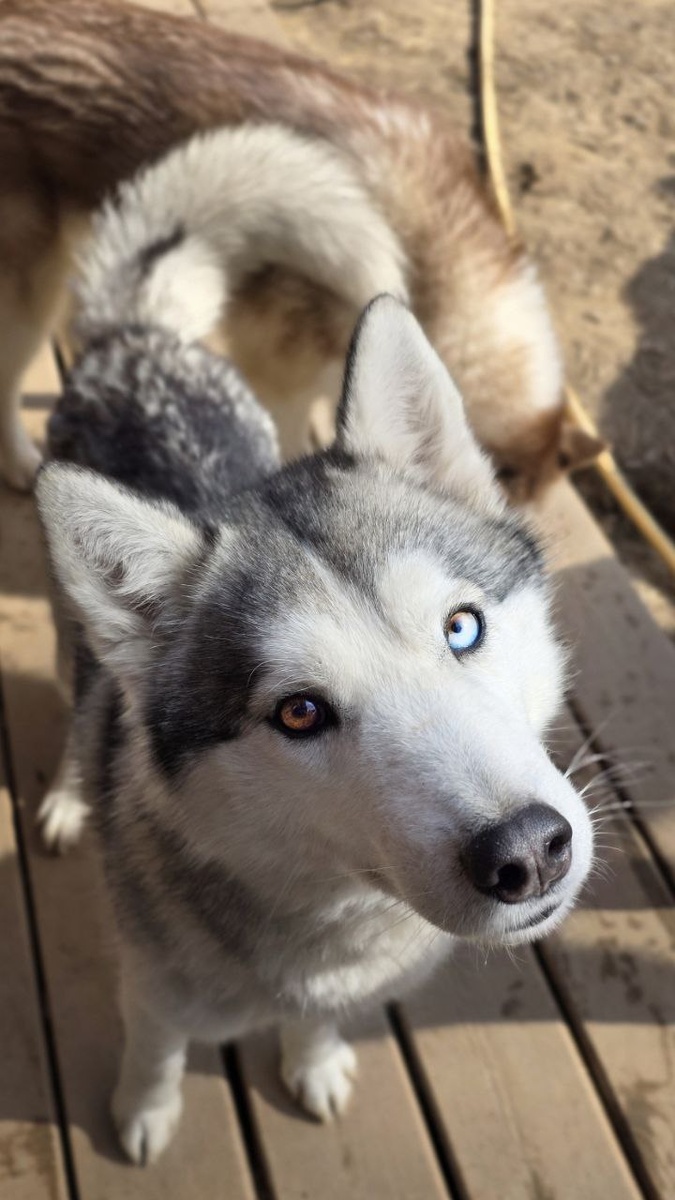 Агата у меня сегодня