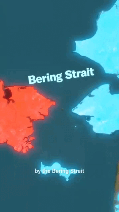    ВИДЕО: T.ME/VOENNDELO