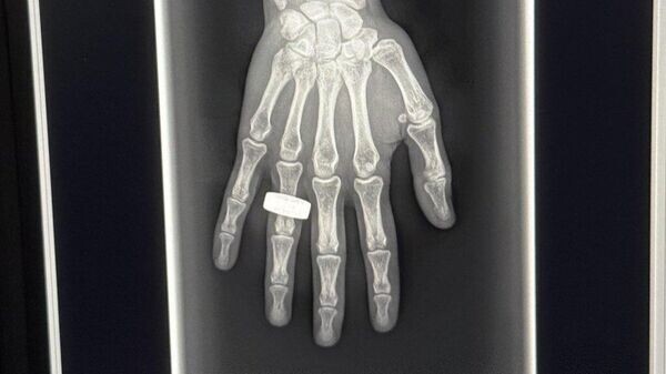    © Photo : Social media page of @satofishi