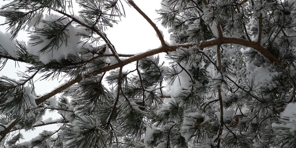 Фотография автора