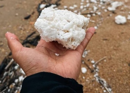    «Некое судно очистило цистерны в нейтральных водах». Черноморское побережье Кубани загажено пальмовым маслом