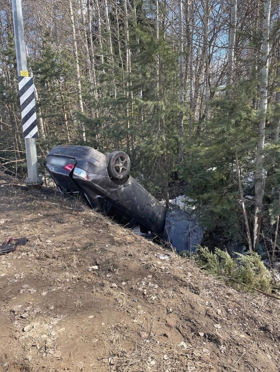     Источник: t.me/Госавтоинспеция Удмуртии