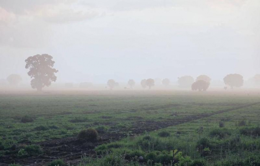 Фото: нейросеть "Кандинский"