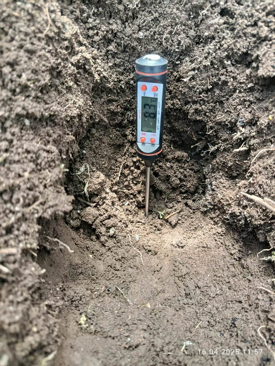 Термометр для шашлыка. Цена вопроса на маркетплейсах около 150 рублей