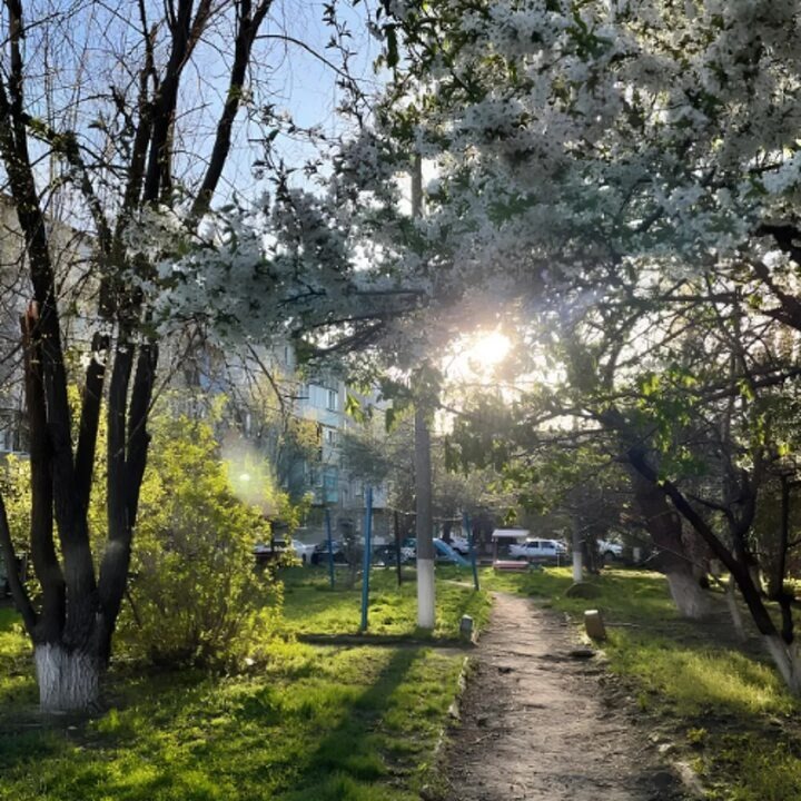 Фото с интернета. 