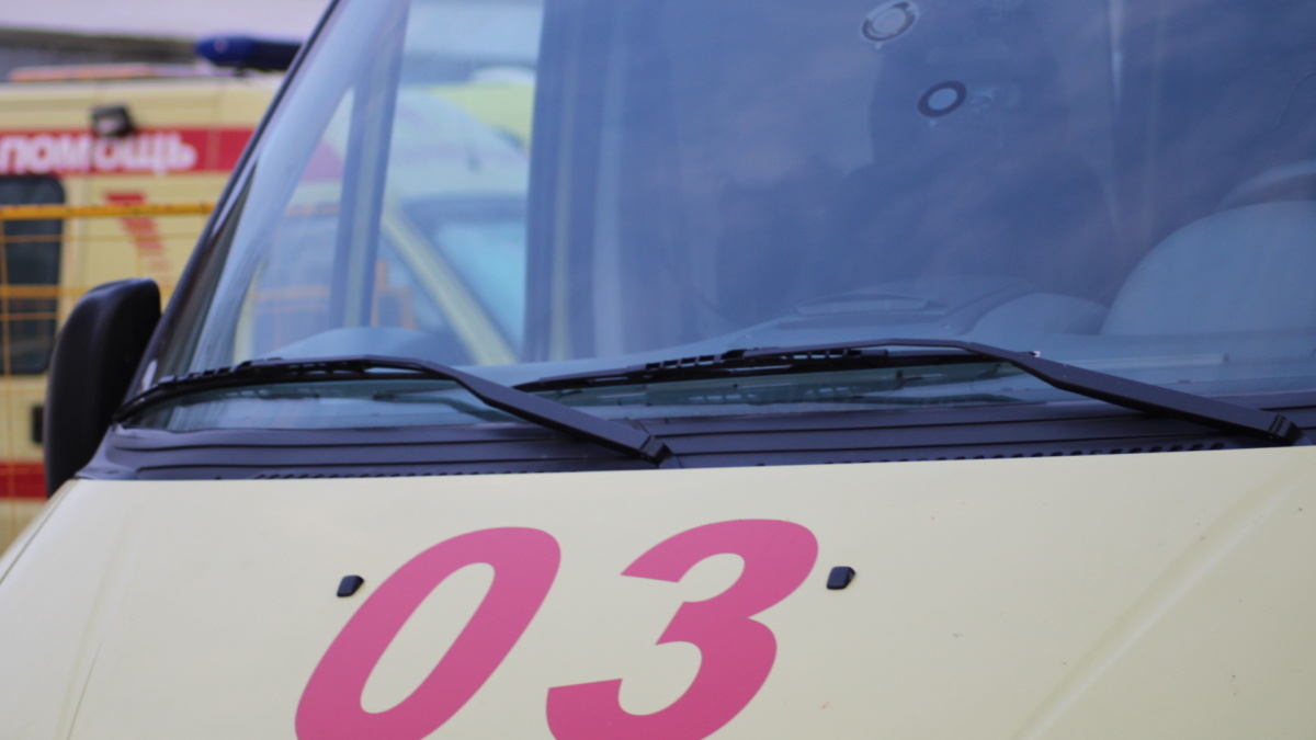 Фото: ИА «Тульская пресса»📷
