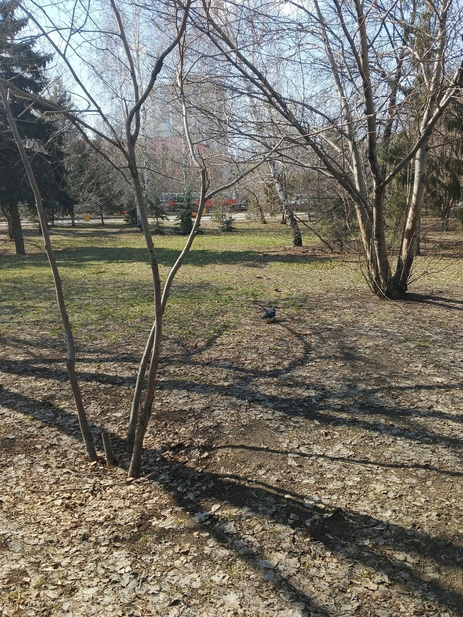 Сквер образца 7.04.2025