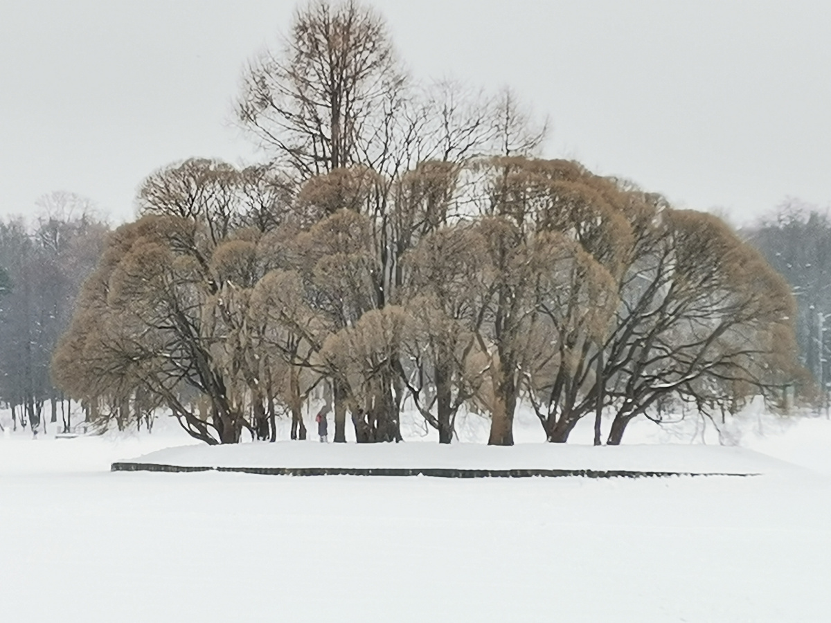 Фото из личного архива