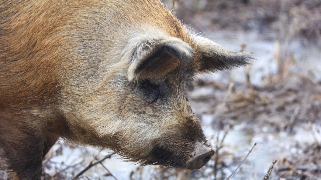    Shatokhina Natalia/news.ru/Globallookpress