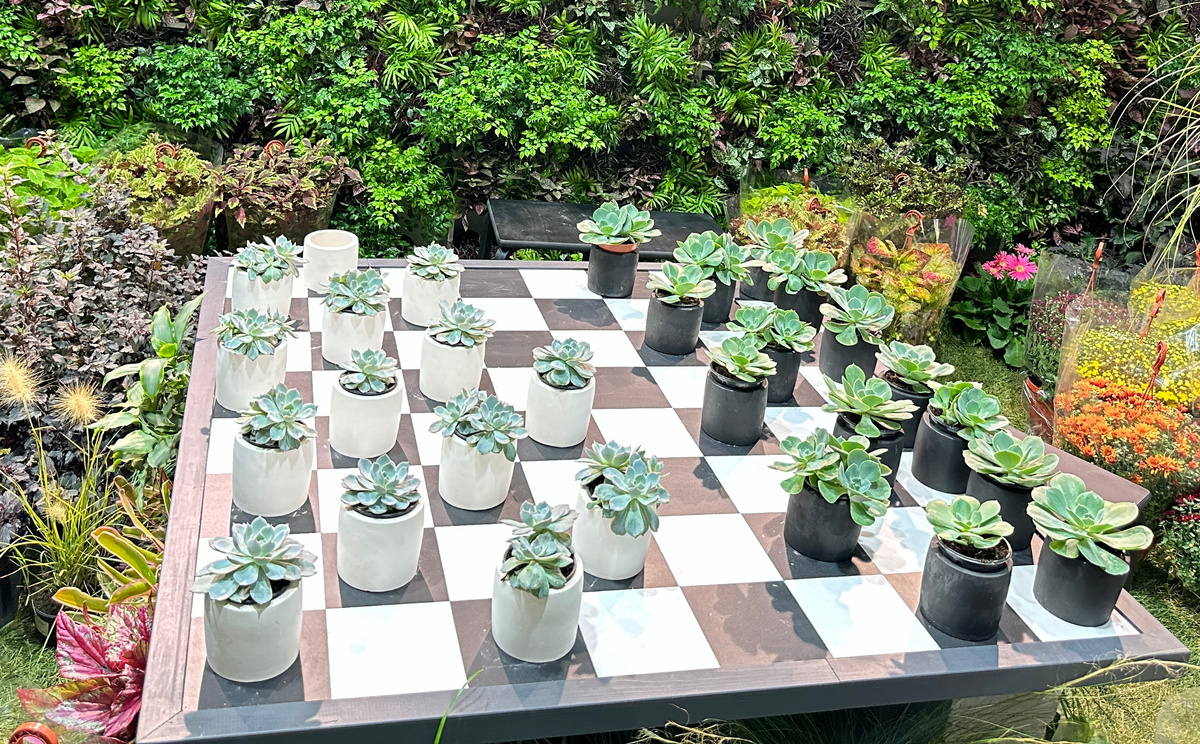 Моя прошлогодняя фотография.