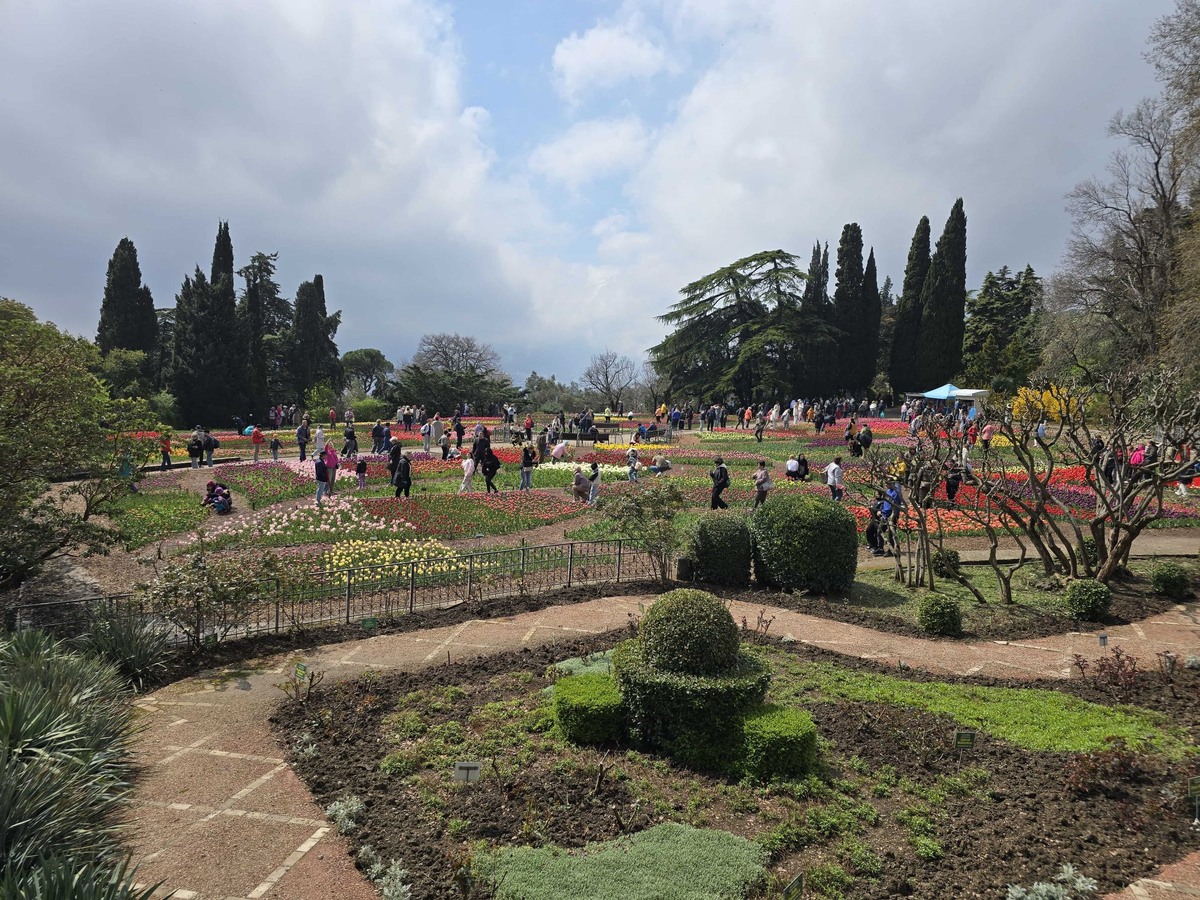 Парад тюльпанов «Салют Победы» представлен 158 сортами