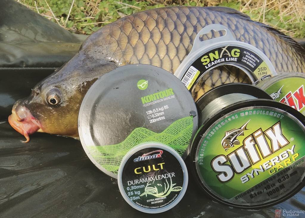 Фото с сайта: https://avatars.dzeninfra.ru