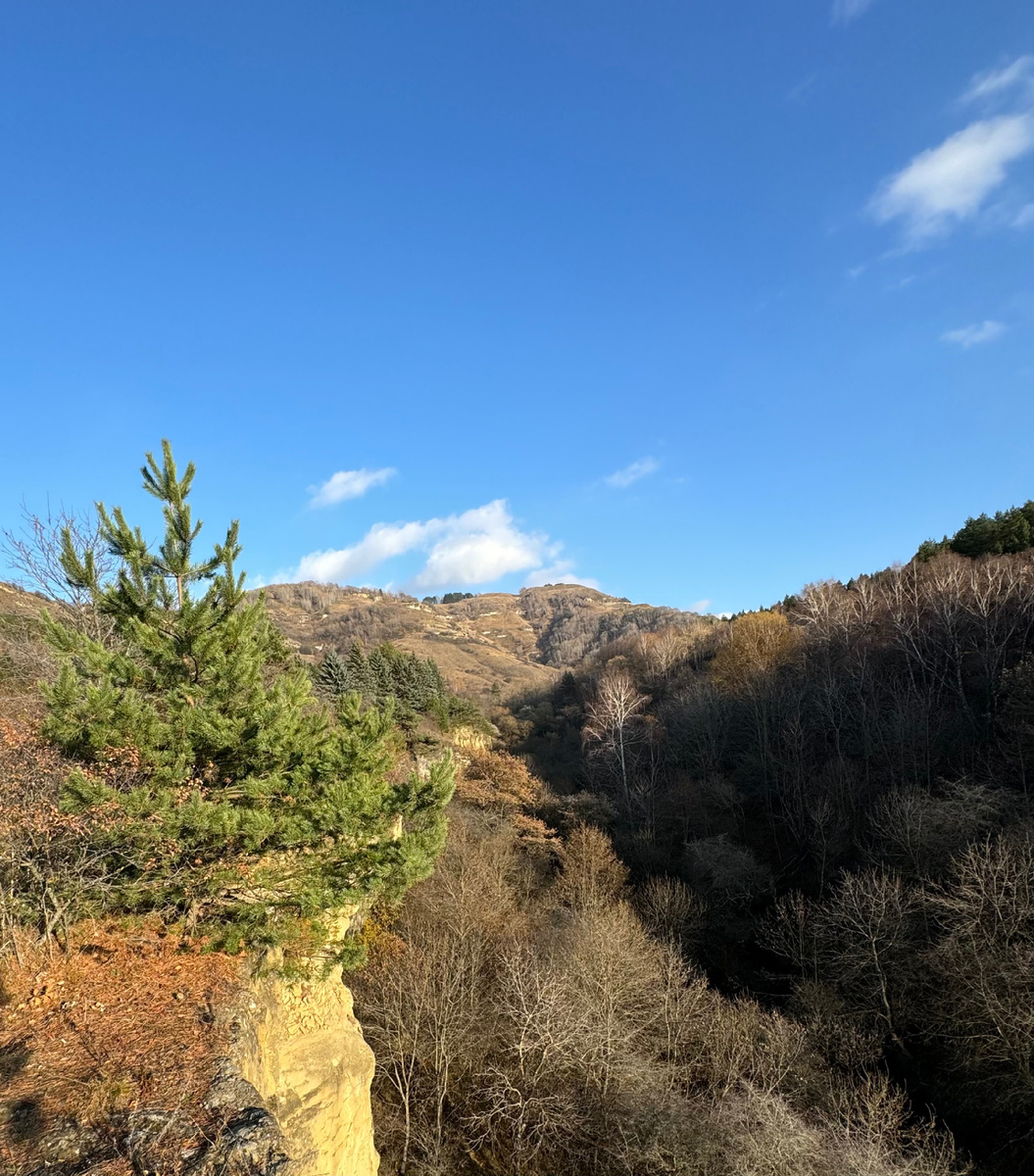 фото Сад в стиле Paradise ®