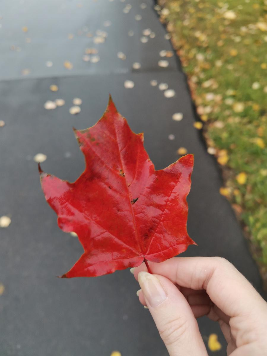 Это вам, мои сильные и нежные читатели) 