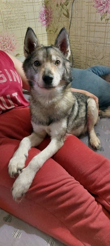 В настоящее время Юна