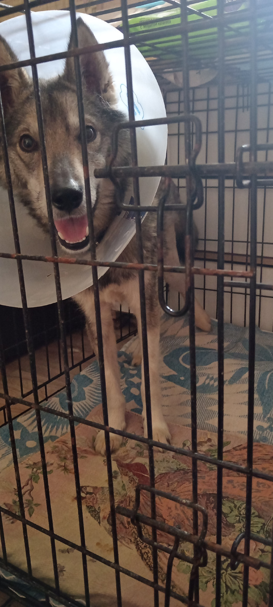 Восстановление у нас шло с напряжением, не знаешь что можно ожидать.