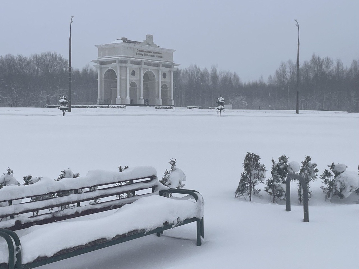 Вот такая красота
