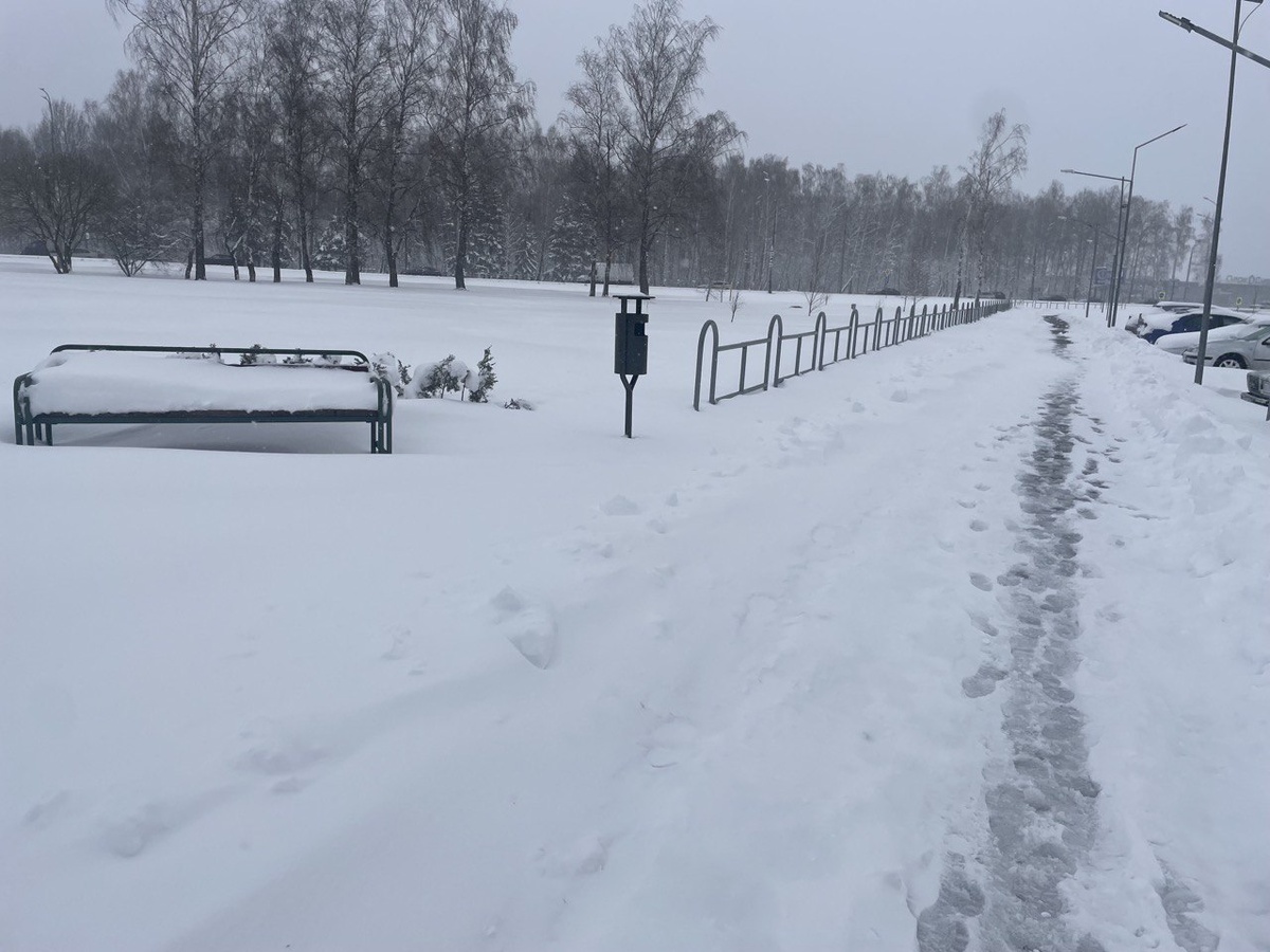 Так выглядит сейчас пешеходная и велосипедная дорожка.