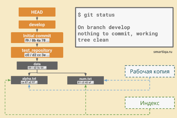 Файловое дерево Git