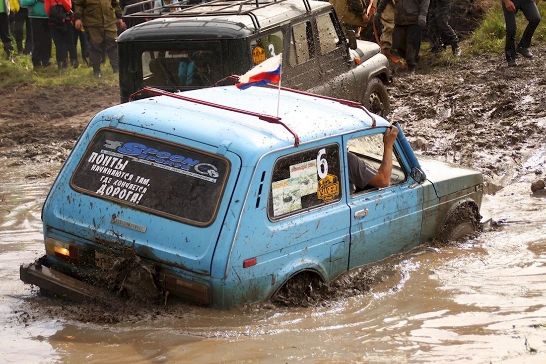 Фото из открытых источников.                            