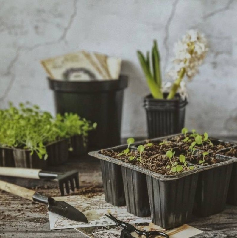 Фото из открытых источников