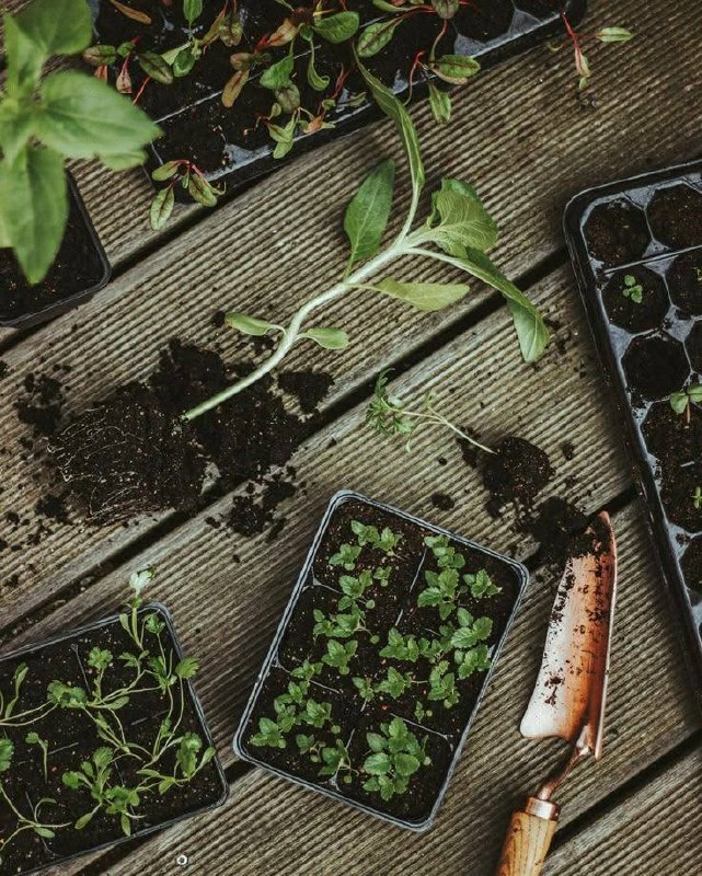 Фото из открытых источников