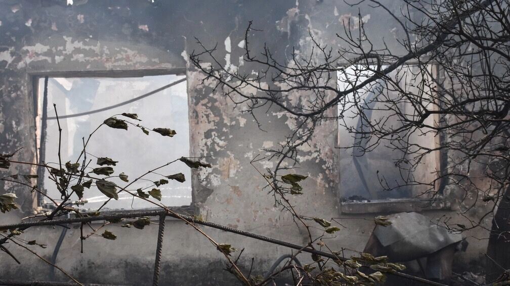     Источник: 1MI