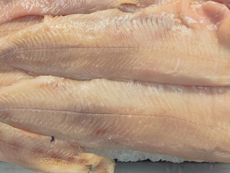     Личинки нематод похожи на спираль. Фото: Архив в Великом Новгороде