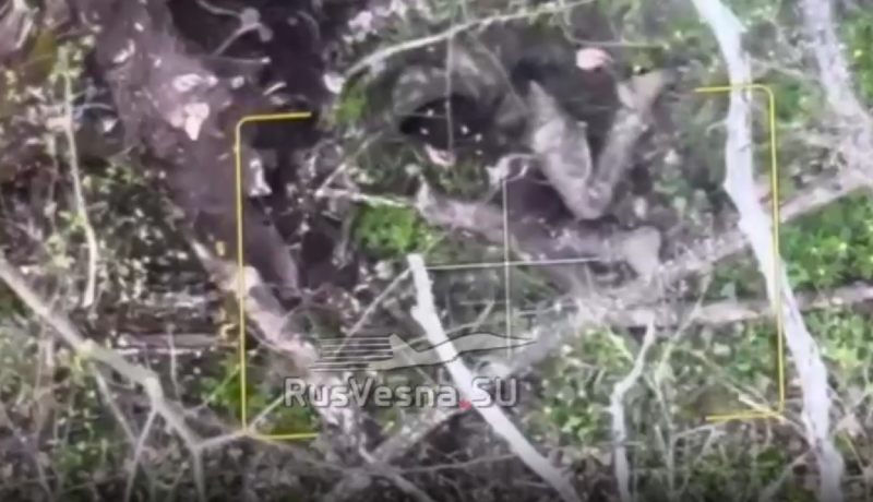    Скриншот: телеграм-канал "Операция Z: Военкоры Русской Весны"