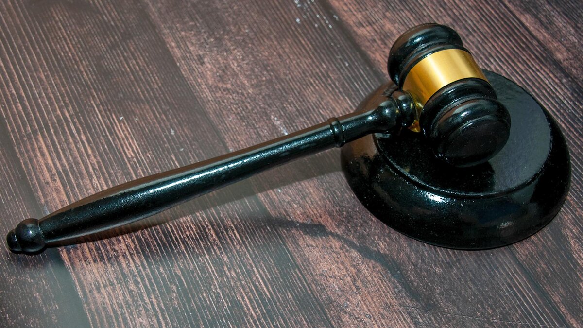    Фото: Svetlana Vozmilova/globallookpress.com