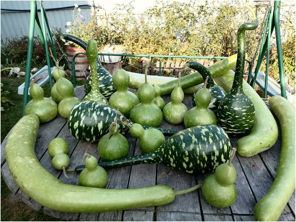 Личное фото автора . Мои будущие поделки готов к переезду.