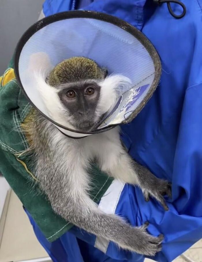 Источник фото: Пресс-служба парка «Лога»