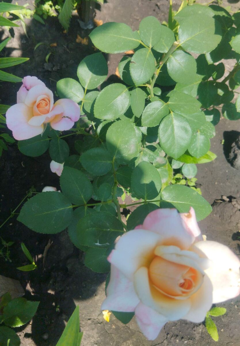 фото Татьяны