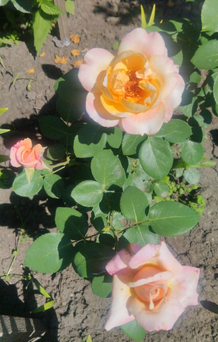 фото Татьяны