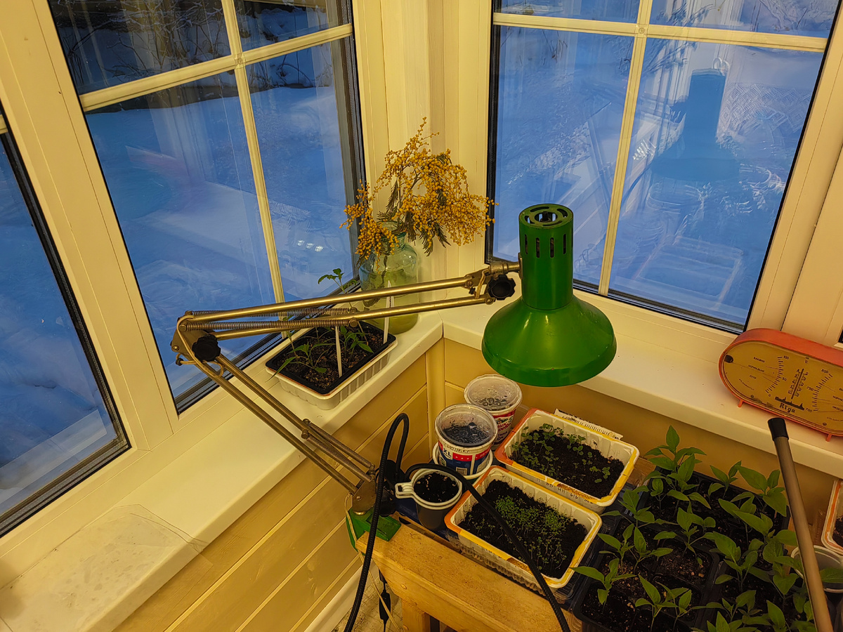 Эта лампа и сейчас у меня в досвечивании задействована. 