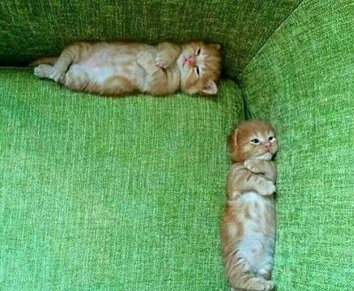 Прикольная картинка