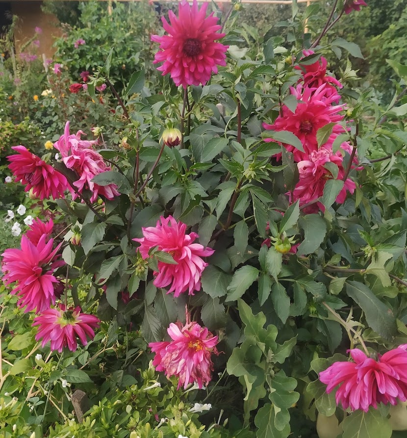 Фото Натальи Мироновой