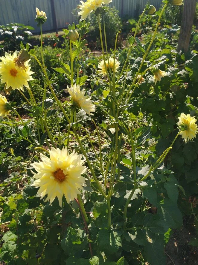 Фото Наальи Мироновой