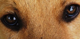    Иллюстрация: REX