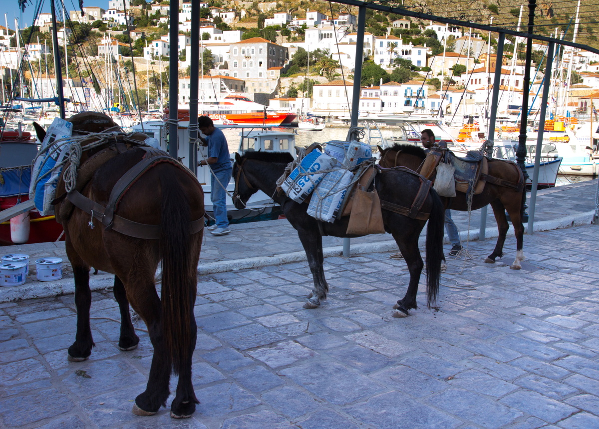 На острове Идра