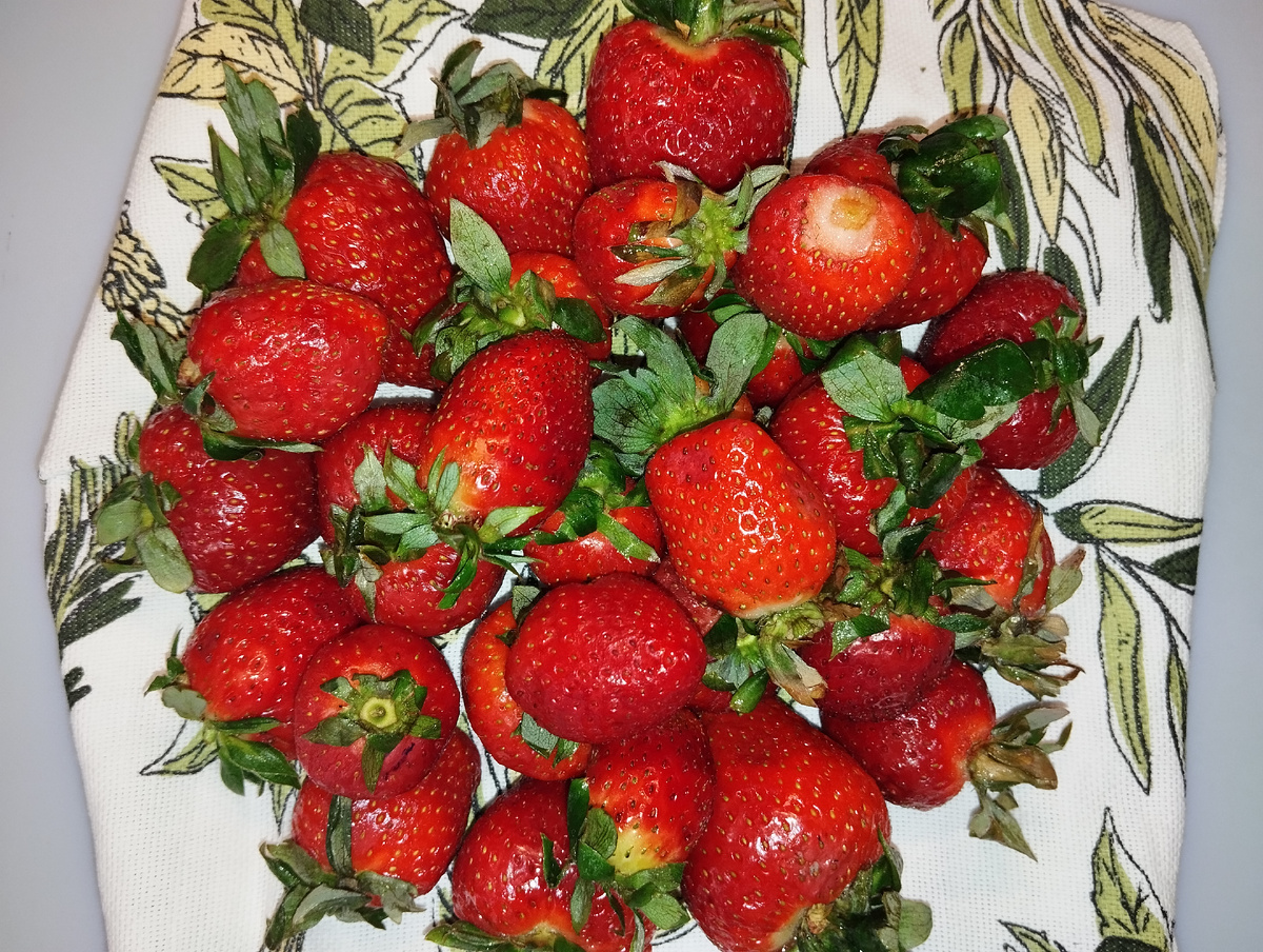 Утренних ягодок вам в ленту