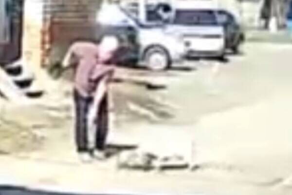    В Орске одна домашняя собака набросилась на другую на глазах у хозяина. Мужчина еле спас питомца