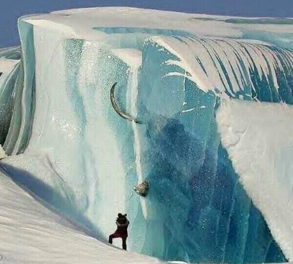 Почему мамонты, которых находят, тысячелетиями не разлагались?