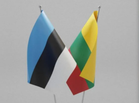    ЕС отказал Литве и Эстонии в деньгах для «стены дронов» на границе с Россией