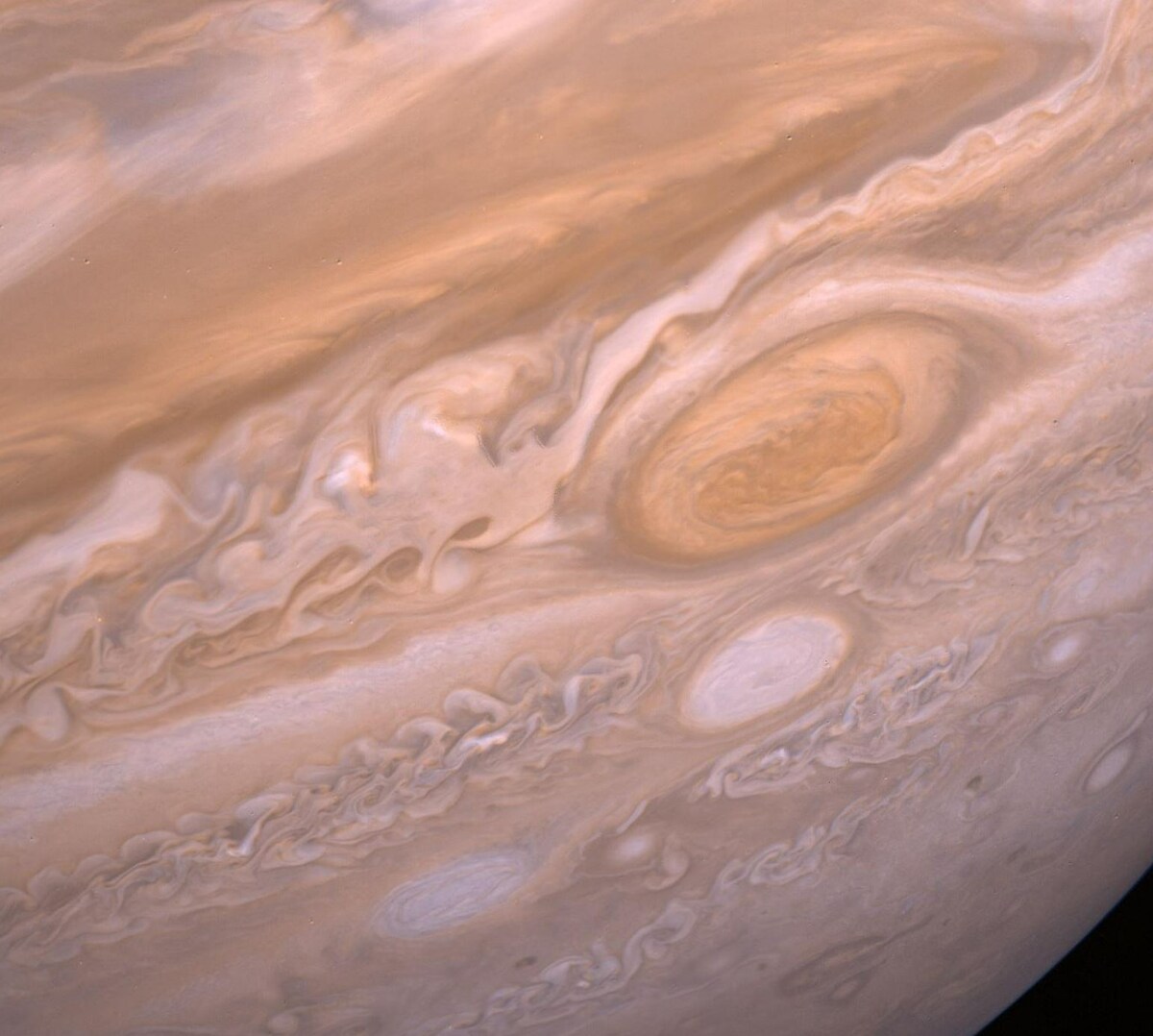 Фото: NASA  📷
