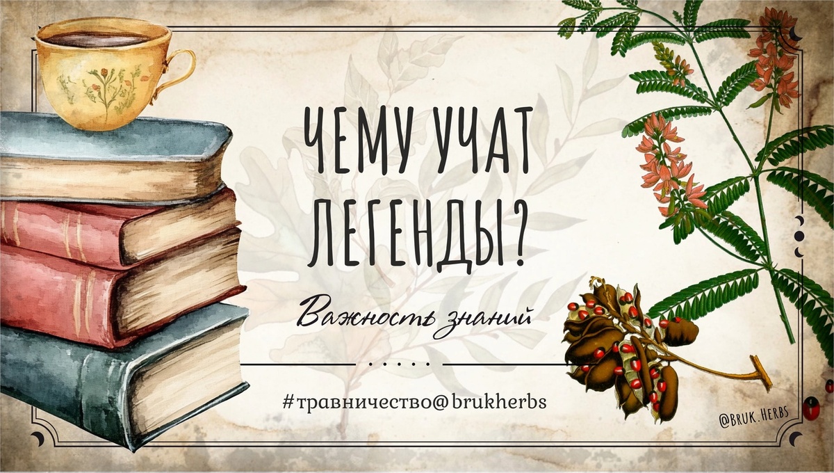 Дизайн @bruk.herbs.