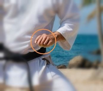 шестипалый