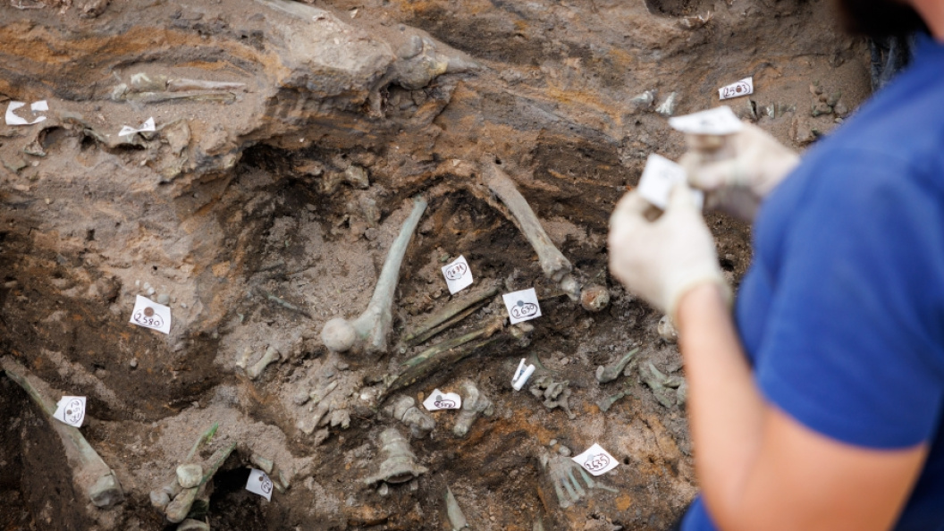    Фото: Daniel Karmann/Globallookpress