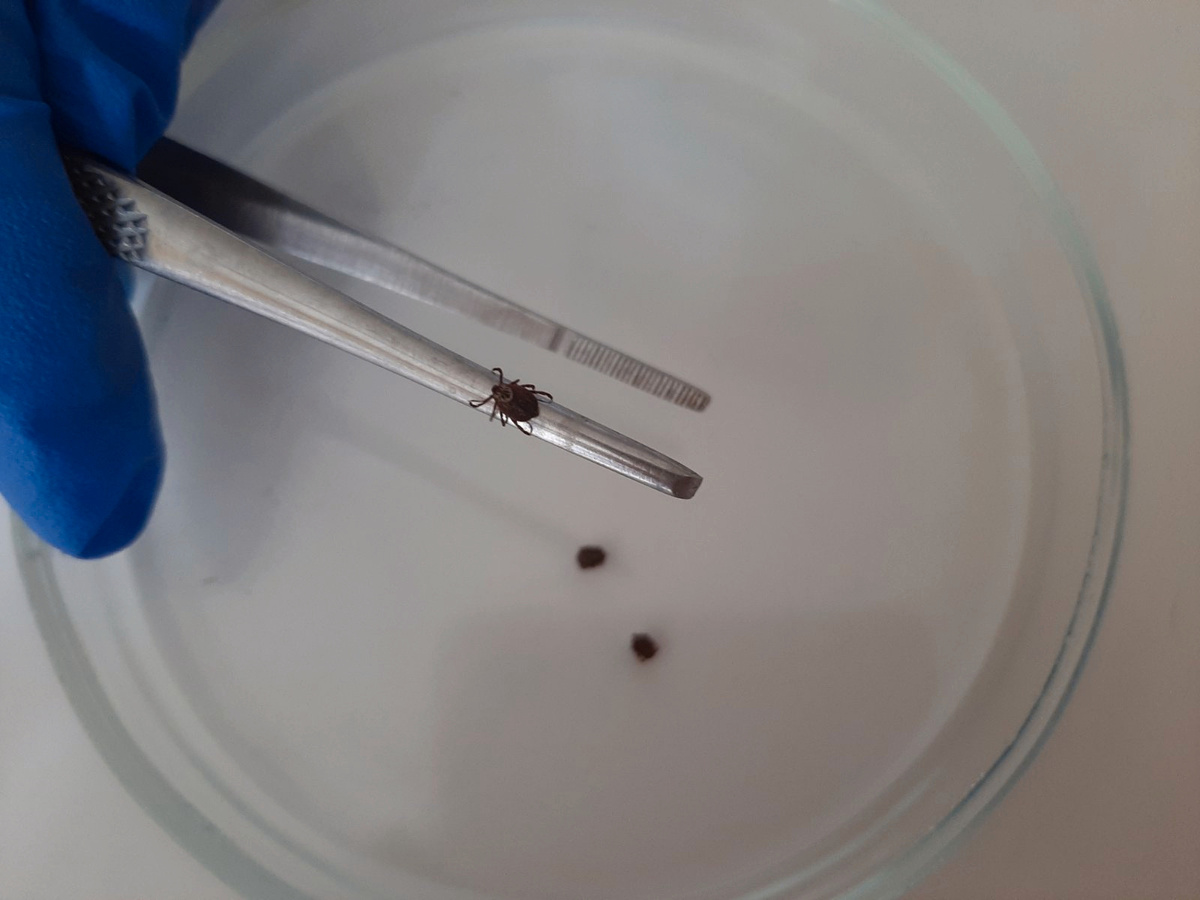 
Фото: пресс-служба управления Роспотребнадзора по Владимирской области
