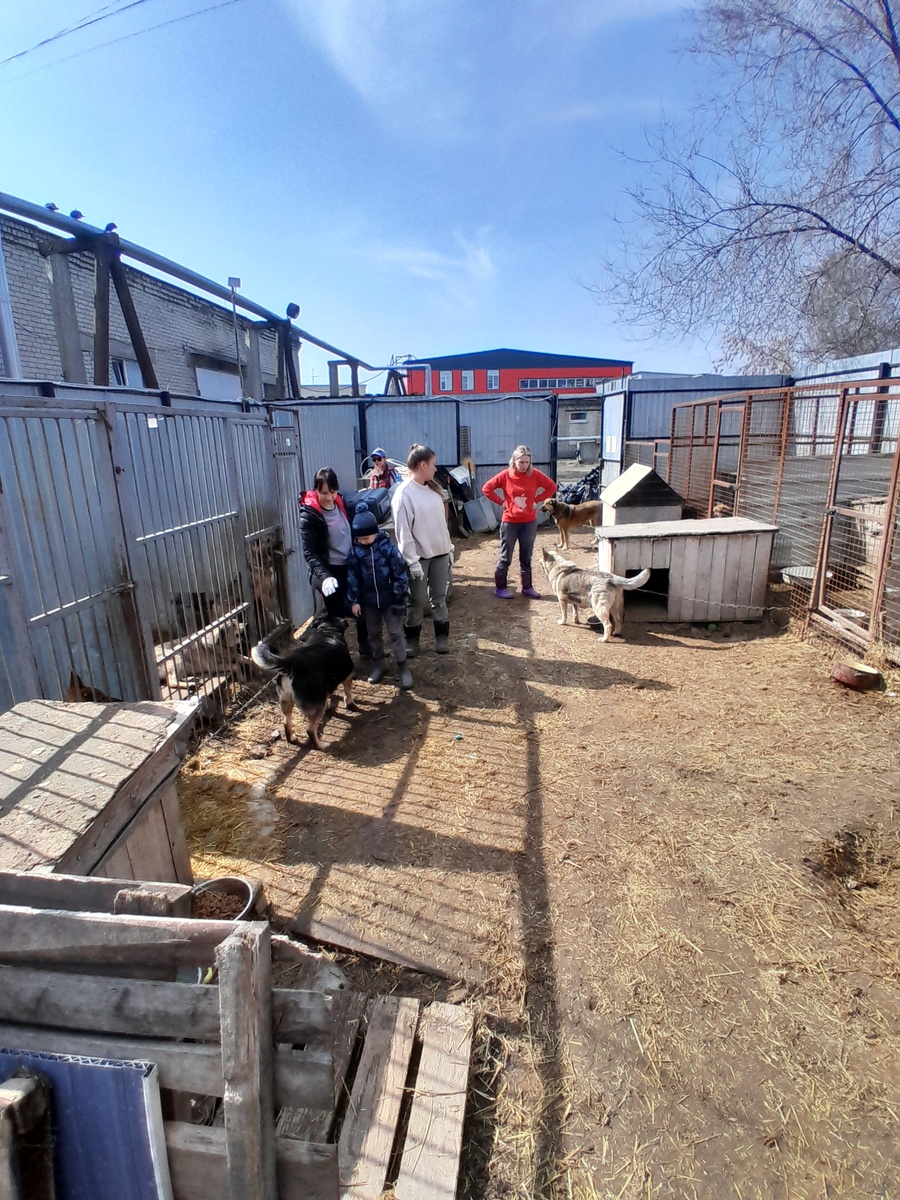 В процессе уборки (фото автора)